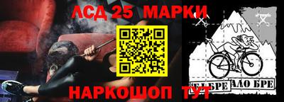 прущие грибы Краснознаменск