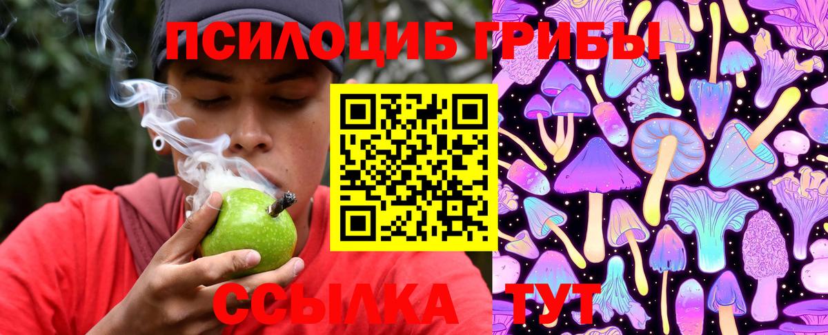 Ишимбай  Псилоцибиновые грибы Cubensis  Вход с VPN 