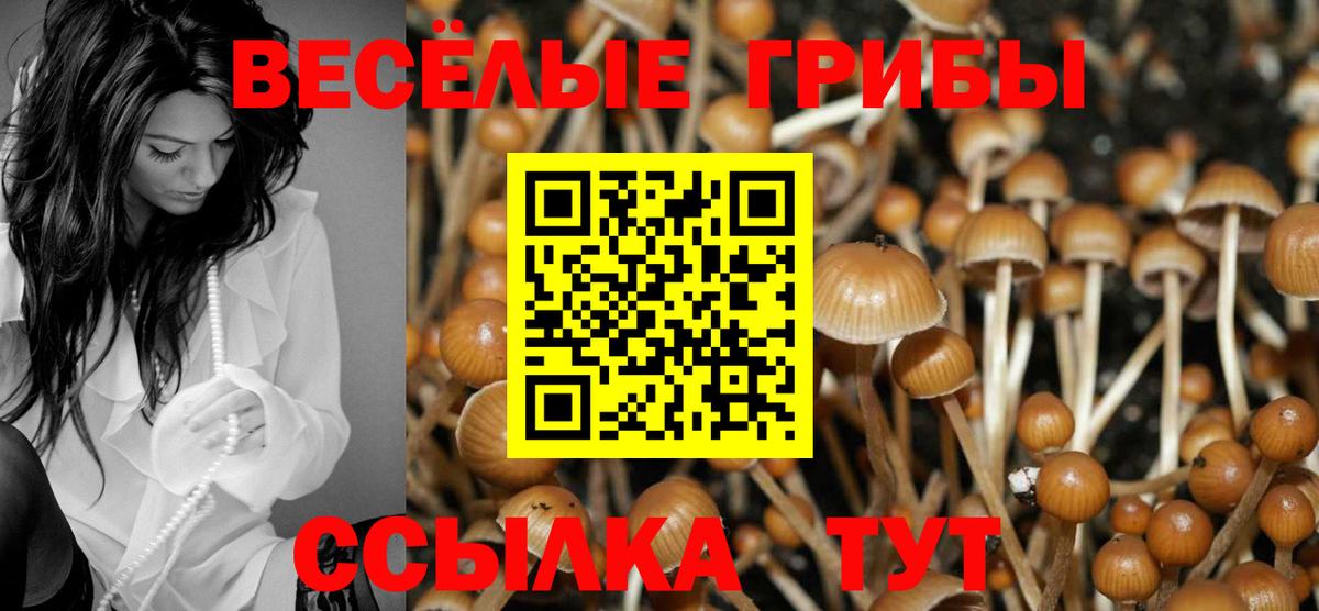 Галлюциногенные грибы Psilocybe Ишимбай